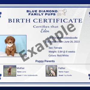 Puppy Birth Certificate